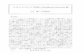 NET9534 - jifpro.or.jp