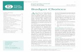 Budget Choices - assets.gov.ie