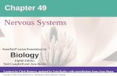 Nervous Systems - learning.hccs.edu