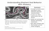Understanding Elephant Seal Behavior With Altimetry