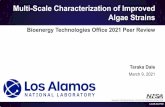 Multi-scale Characterization of Improved Algae Strains