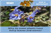 Posters - Ask a Botanist