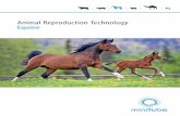 Catalogue Reproduction Technology Equine - 2013