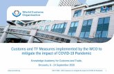 Customs and TF Measures implemented by the WCO to mitigate ...