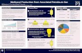 Methanol Production from Associated Petroleum Gas P3Group
