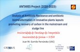 ANTARES Project (2020-2023): Analysis of Antibiotic ...