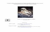 Conservation Assessment for Red-shouldered Hawk (Buteo ...