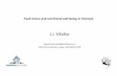 Villalba Impact Nutrition Welfare - WUR