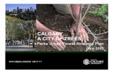 CALGARYÉ A CITY OF TREES - The City of Calgary