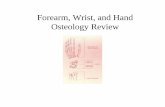 Forearm, Wrist, and Hand Osteology Review