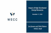 Impact of High Distributed Energy Resources