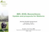 IBR, BVD, Besnoitiosis - Sciensano