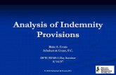 Analysis of Indemnity Provisions - Schubert & Evans
