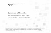 Summary of Benefits - BCBSIL