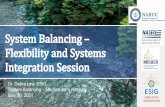 Flexibility and Systems System Balancing – Integration Session