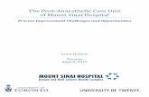 The Post-Anaesthetic Care Unit of Mount Sinai Hospital