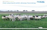 Get started with sheep farming - .NET Framework