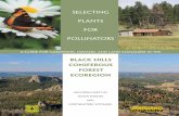 Selecting Plants for Pollinators - Homepage | Pollinator.org