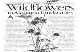 The Alabama Natural Heritage Program is