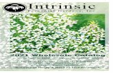 2021 Wholesale Catalog - Intrinsic Perennial Gardens