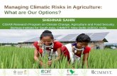 Managing Climatic Risks in Agriculture: What are Our Options?
