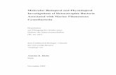 Molecular Biological and Physiological Investigations of ...