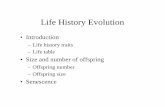 Life History Evolution