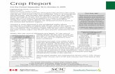 Crop Report summary October 8 2020