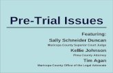 Pre-Trial Issues