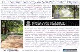 USC Summer Academy on Non-Perturbative Physics