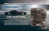 THE SENTINEL Drilling Safety Float Valve