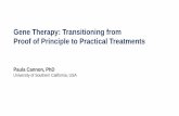 Gene Therapy: Transitioning from Proof of Principle to ...
