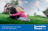 Protecting pets for more than 315 dog years.