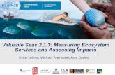 Valuable Seas 2.1.3: Measuring Ecosystem Services and ...