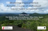 Modelling tropical forest dynamics using an individual ...