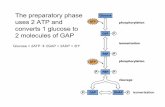 The preparatory phase uses 2 ATP and converts 1 glucose to