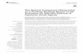 The Natural Compound Climacostol as a Prodrug Strategy ...