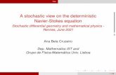 A stochastic view on the deterministic Navier-Stokes equation