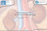 Potential biomarkers for chronic kidney disease
