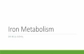 Iron Metabolism - AIIMS, Rishikesh