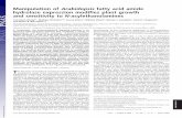 Manipulation of Arabidopsisfatty acid amide hydrolase ...