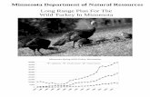 Wild Turkey Action Plan 2005-2011 - Minnesota Department of