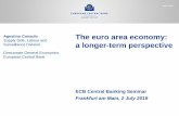 The euro area economy: a longer term perspective