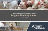 Surgical Site Preparation - Extension Veterinary Medicine