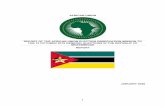 Report of the African Union Election Observation Mission ...
