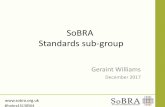 SoBRA Standards sub-group