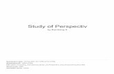 Study of Perspectiv