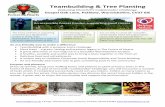 Teambuilding & Tree Planting - WordPress.com