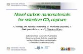 Novel carbon nanomaterials for selective CO capture