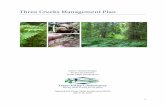 Three Creeks Management Plan - Fraser Valley Conservancy